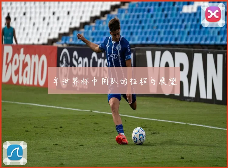 年世界杯中国队的征程与展望